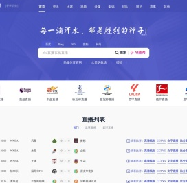 网站截图