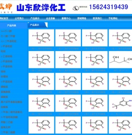 网站截图