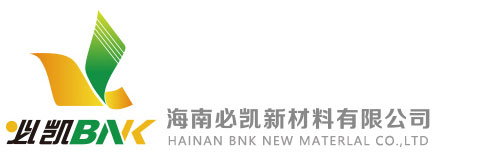 海南必凯新材料有限公司