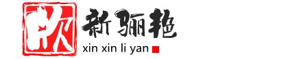 成都市欣新骊艳科技有限公司