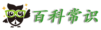 常识知识