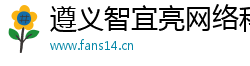 遵义智宜亮网络科技工作室