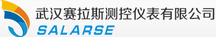 武汉赛拉斯测控仪表有限公司