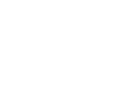 新大网
