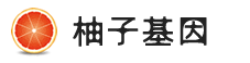 DNA亲子鉴定中心