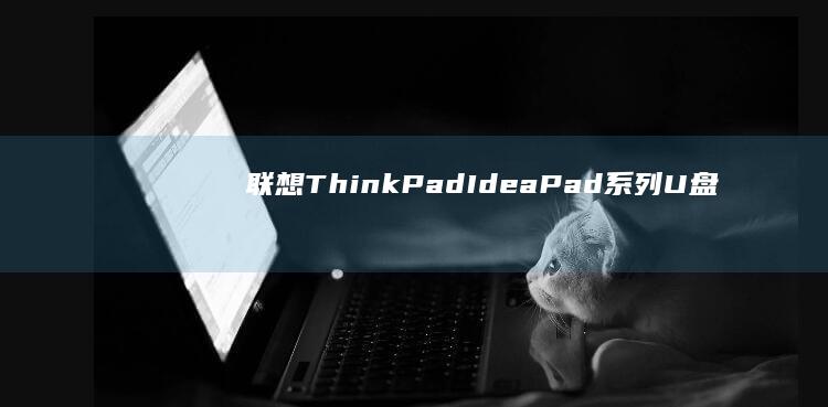 ThinkPad系列U盘