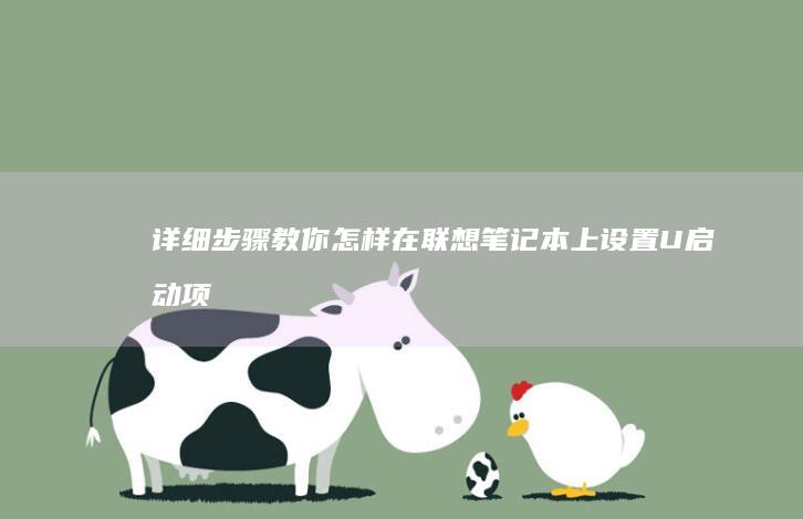 详细步骤教你怎样在联想笔记本上设置U启动项 (详细步骤教你包粽子怎么包三角粽子图解)