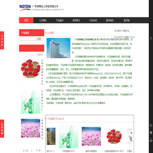 广东诺顿化工科技有限公司