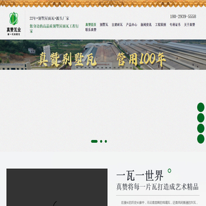 网站截图