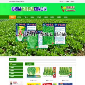 快菜种子