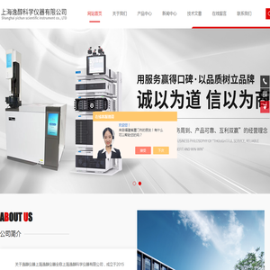 高纯气体分析色谱仪