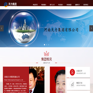 河南天力集团有限公司