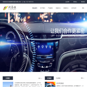 江苏润泰银科技股份有限公司