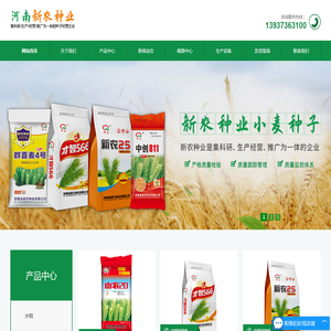 小麦种子