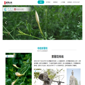 广州市元雅文化有限公司