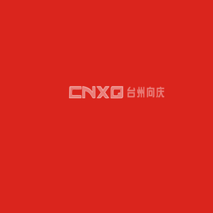 台州向庆汽车配件工业有限公司