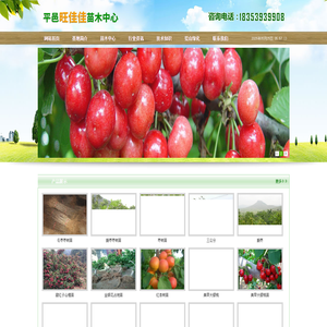 山楂苗