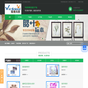 生物玻片