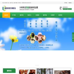 成都灭白蚁丨成都灭鼠丨成都灭蟑螂丨四害消杀丨成都桑柏有害生物防治有限公司