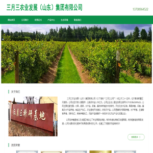 三月三农业发展（山东）集团有限公司