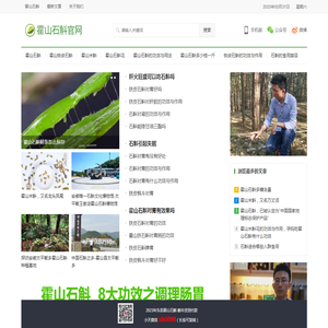 霍山石斛的功效与用法