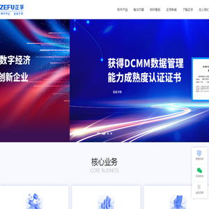 正孚软件