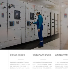 浙江九康电气有限公司智能式无功补偿电容器