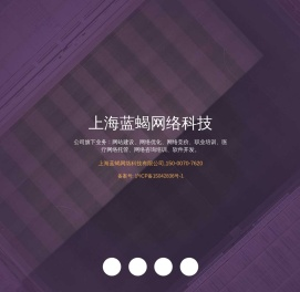 上海蓝蝎网络科技有限公司